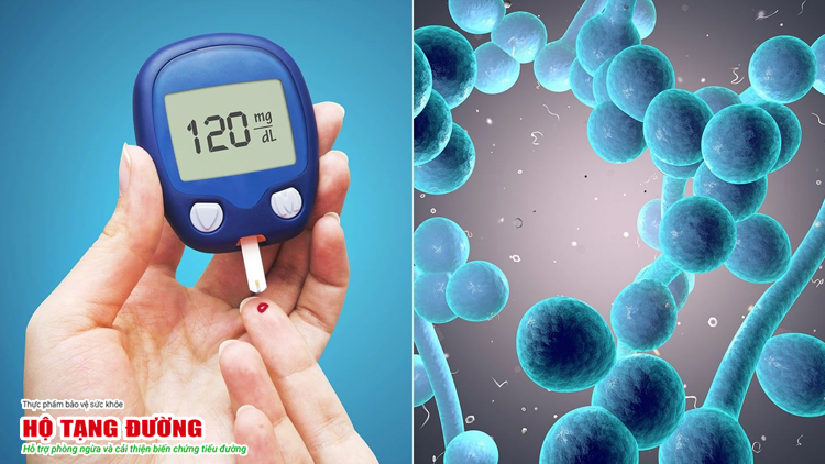 Đường huyết cao giúp vi khuẩn phát triển dễ dàng và gây nhiễm trùng